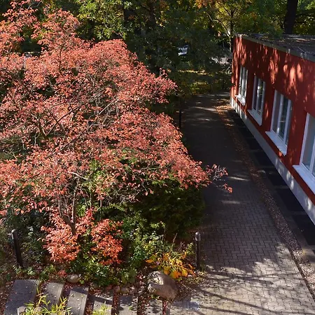 غاستهوس بولين 2*